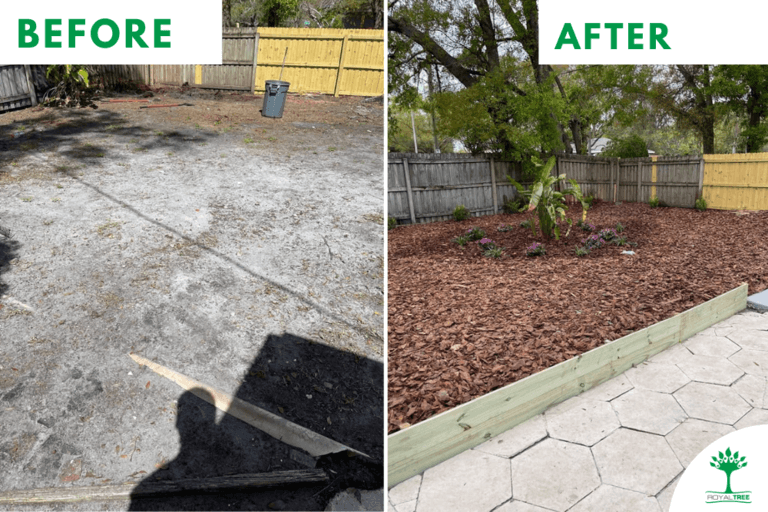 Landscaping before and after
